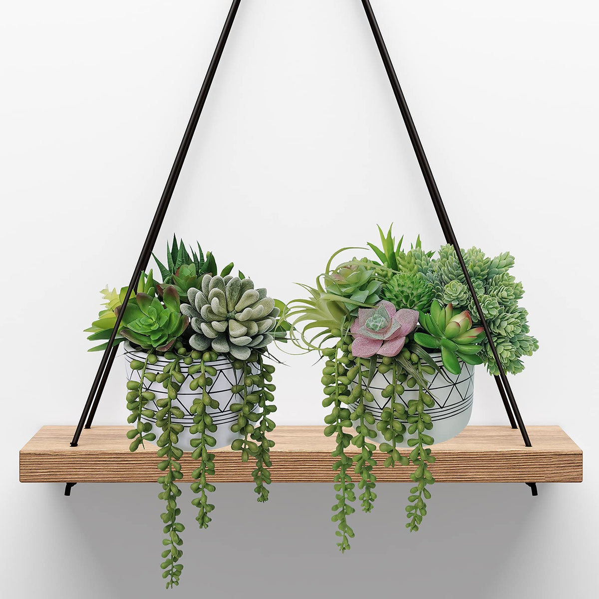 Winlyn Echeveria succulent stem enhances tabletop centerpieces.