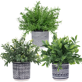 Winlyn eucalyptus potted plant in a textured concrete pot for stylish desk decor.