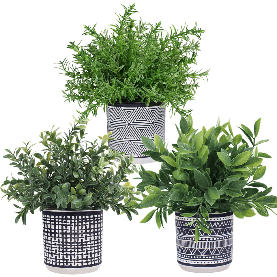 Winlyn eucalyptus potted plant in a textured concrete pot for stylish desk decor.