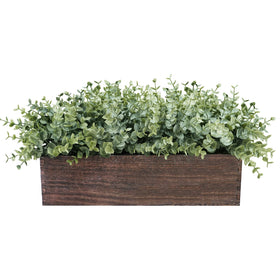 Winlyn eucalyptus in a rectangular wooden planter enhances rustic farmhouse style.