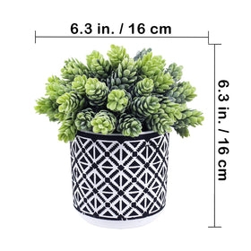 Winlyn faux aloe succulent highlights low-maintenance greenery for homes