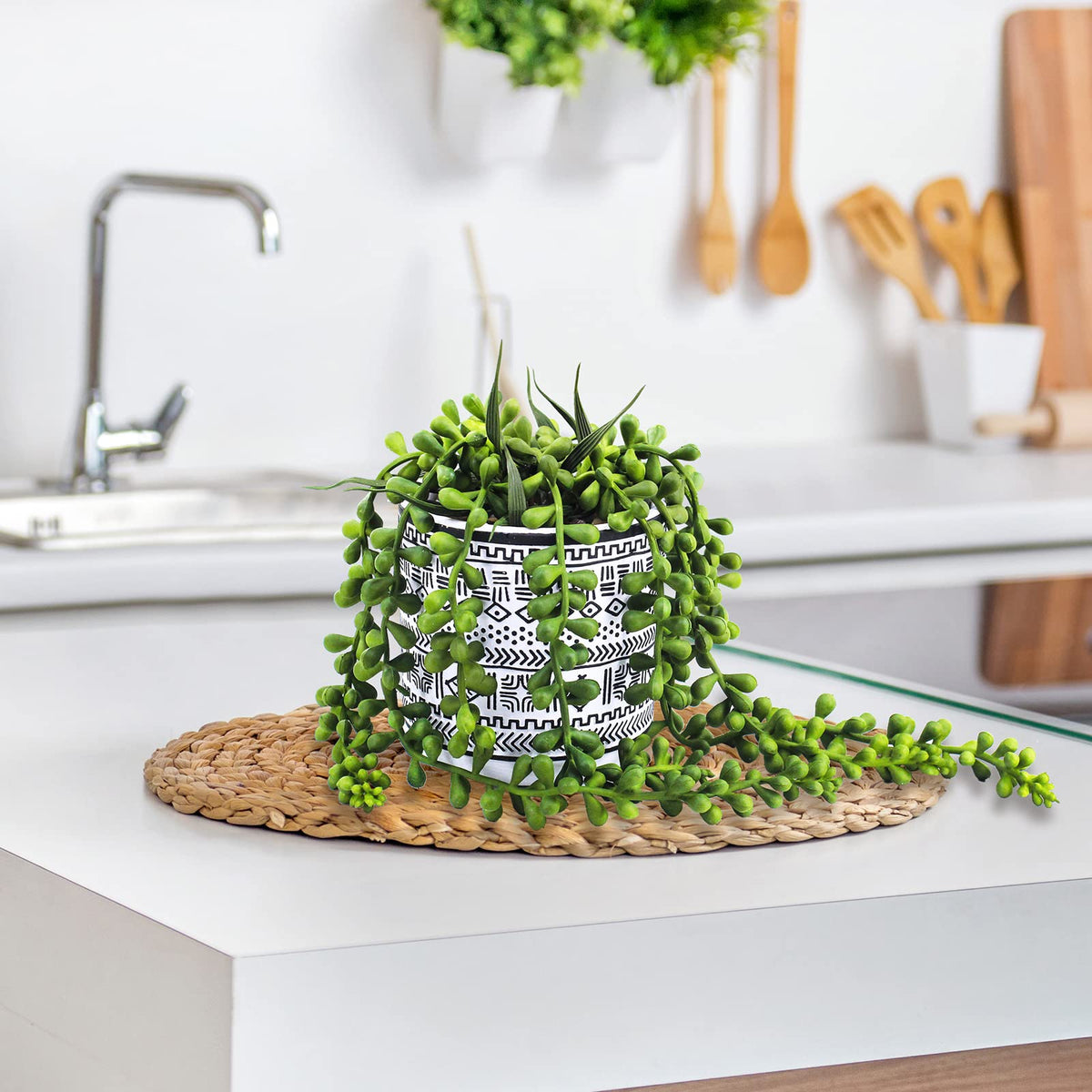 Winlyn faux hops succulent reveals southwestern charm for shelves
