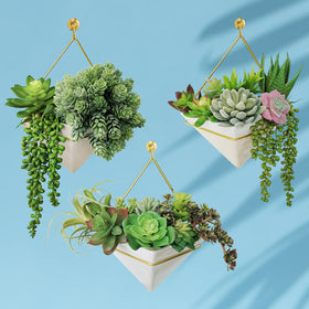 Winlyn Flocked Pachyphytum stems offer soft, showy foliage for crafts.
