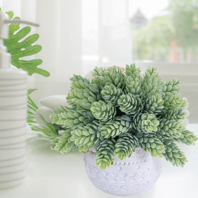 Winlyn gift ready succulent set makes a thoughtful housewarming gift