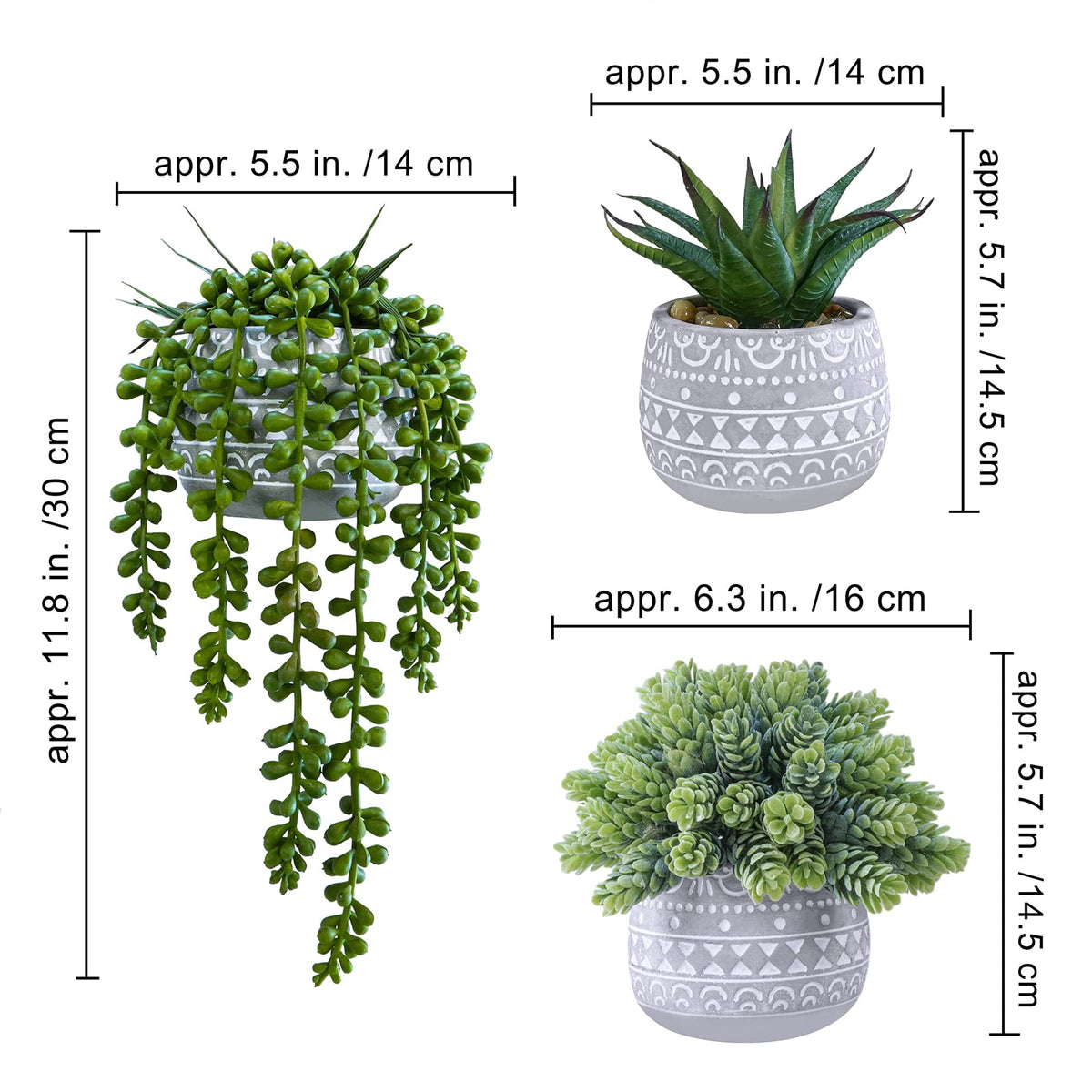 Winlyn hops potted succulent in a gray pot adds modern texture