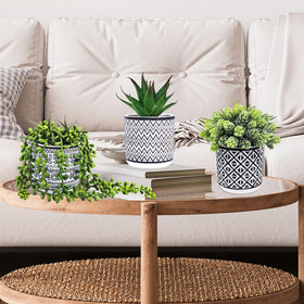 Winlyn indoor-outdoor greenery adds a fresh accent to any room