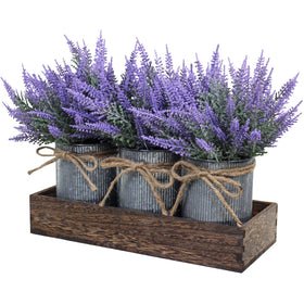 Winlyn lavender potted ensemble trio creates a charming rustic centerpiece.