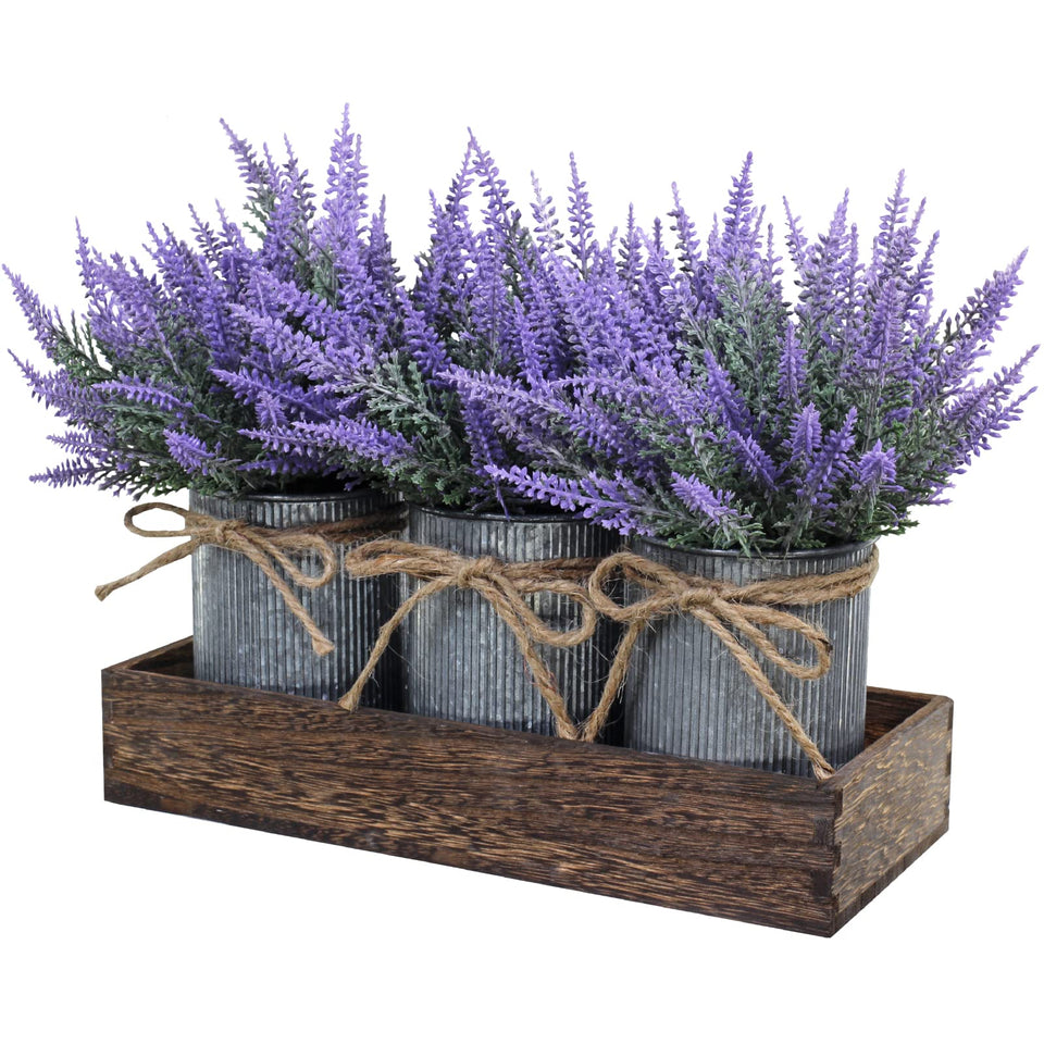 Winlyn lavender potted ensemble trio creates a charming rustic centerpiece.