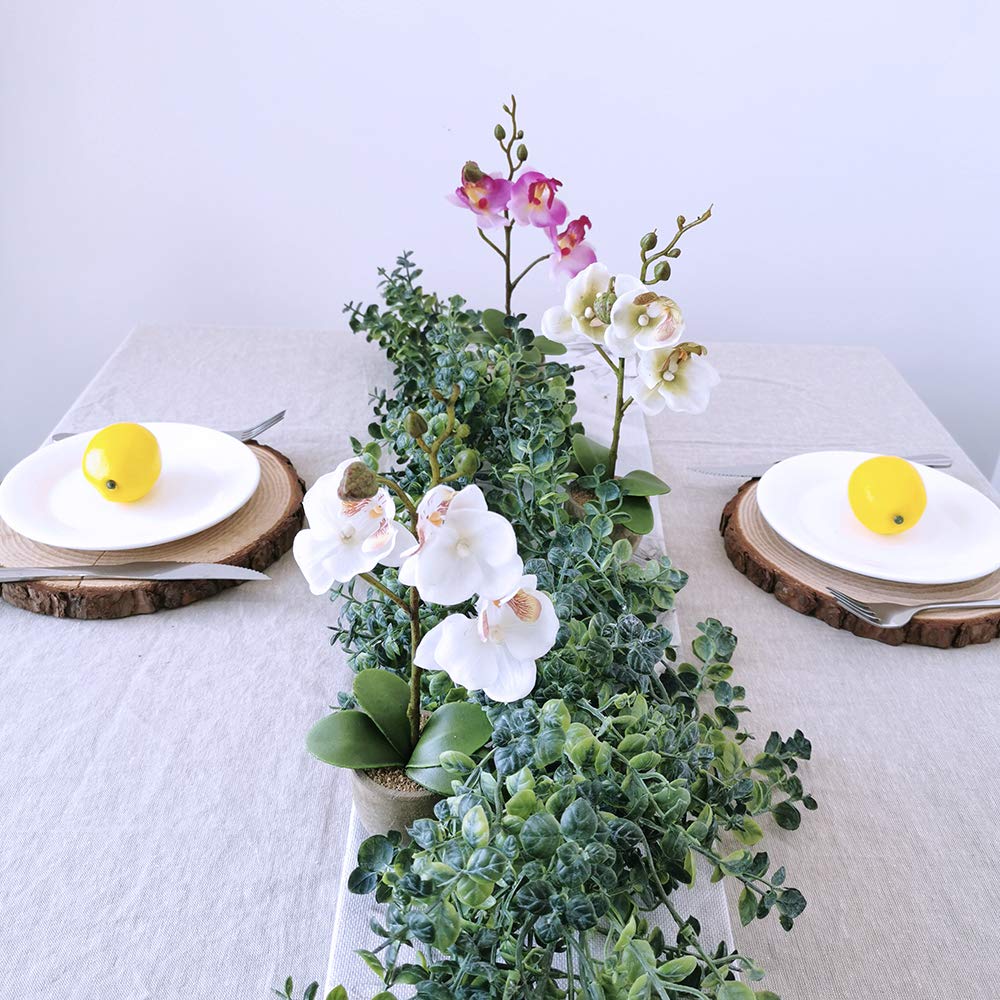 Winlyn lemons props ideal for photography backdrops and prop styling.
