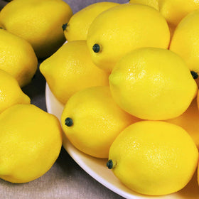 Winlyn lemon-faux-fruits closeup shows glossy finish for vibrant lemonade decor.