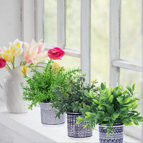 Winlyn Aztec-inspired pots frame lush greenery for stylish indoor display.