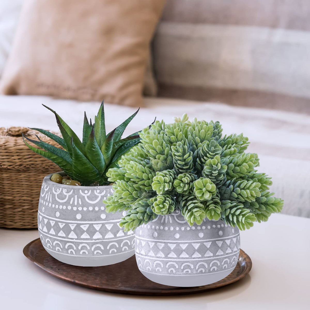 Winlyn macrame hanger display with three small succulents