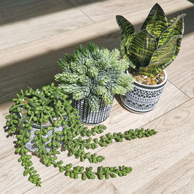 Winlyn mantel shelf greenery provides balanced styling.