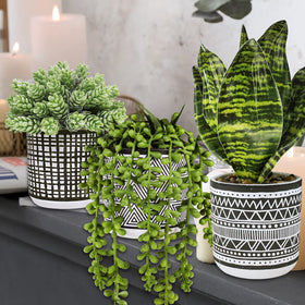 Winlyn office greenery that requires no watering or maintenance.