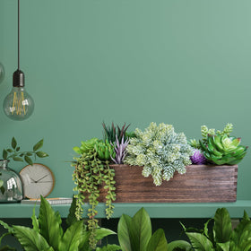 Winlyn assorted succulents in a rustic wooden planter enhances shelves and mantels.