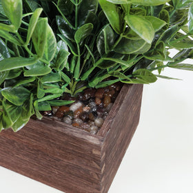 Winlyn boxwood pebbles accent image emphasizes natural realism and balance.