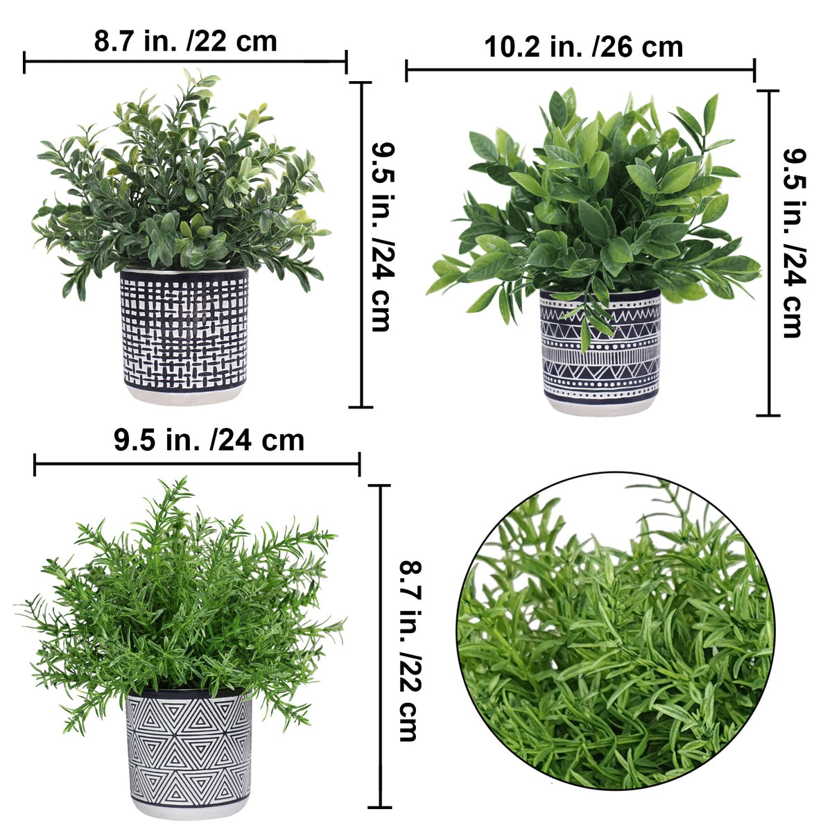 Winlyn rosemary potted plant adds fresh greenery to kitchen counters.