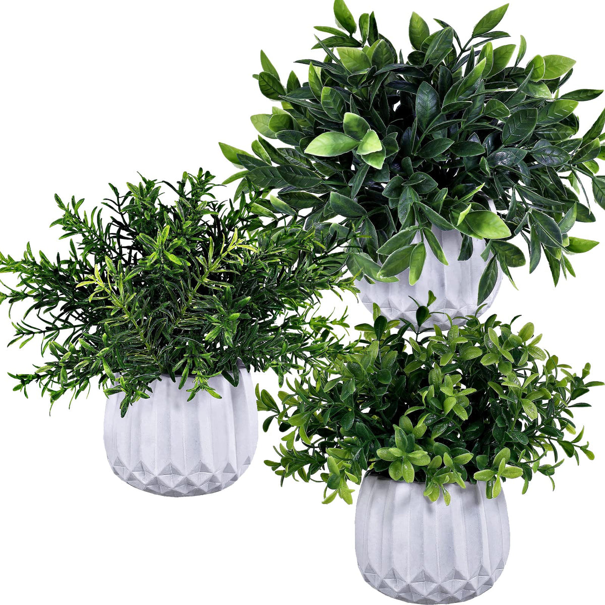 Winlyn rosemary potted plant adds a fresh herb-inspired decor touch