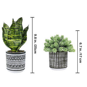 Winlyn snake plant in geometric black pot adds modern greenery to desks.
