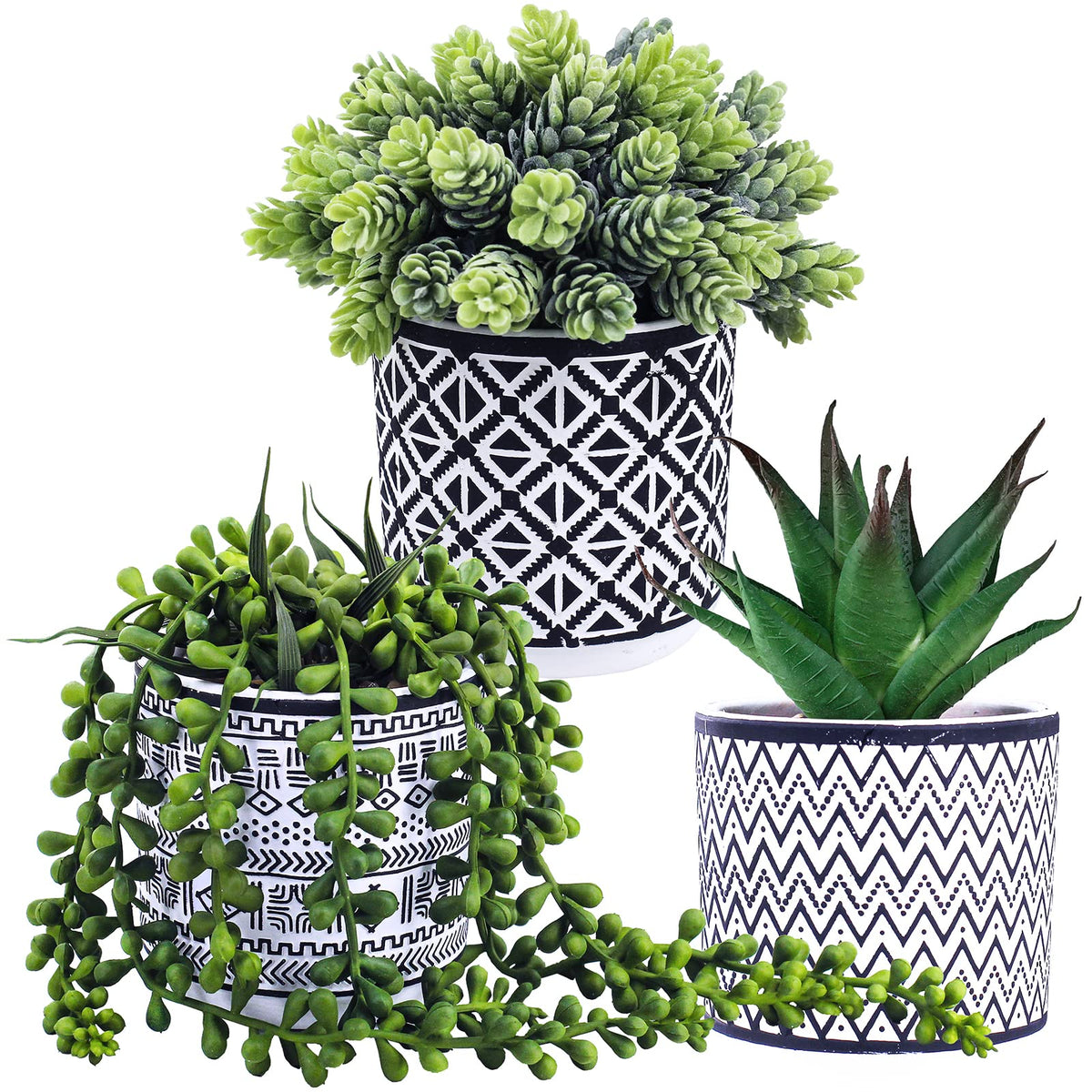 Winlyn string of pearls succulent close-up shows lifelike texture for desks
