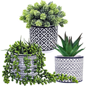 Winlyn string of pearls succulent close-up shows lifelike texture for desks