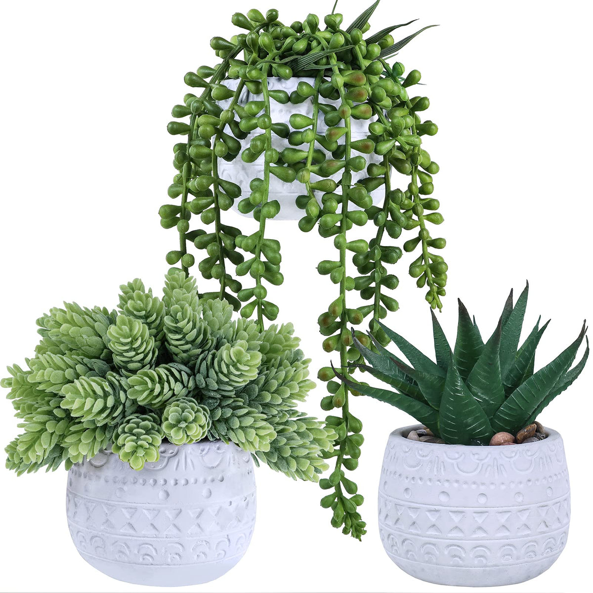 Winlyn aloe succulent in a white geometric pot for stylish windowsill greenery