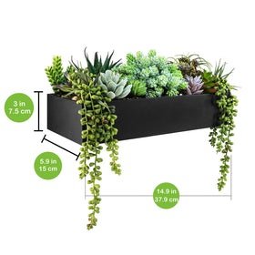 Winlyn succulent garden with green and purple tones adds vibrant decor.
