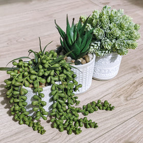 Winlyn hops faux succulent in a gray textured planter for contemporary style