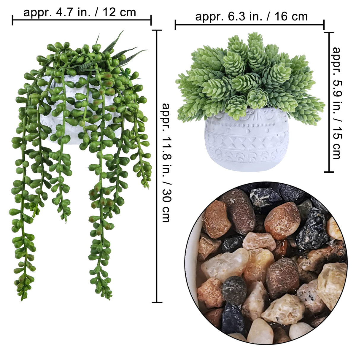 Winlyn sedum hops succulent in pot adds textured greenery to desks or shelves