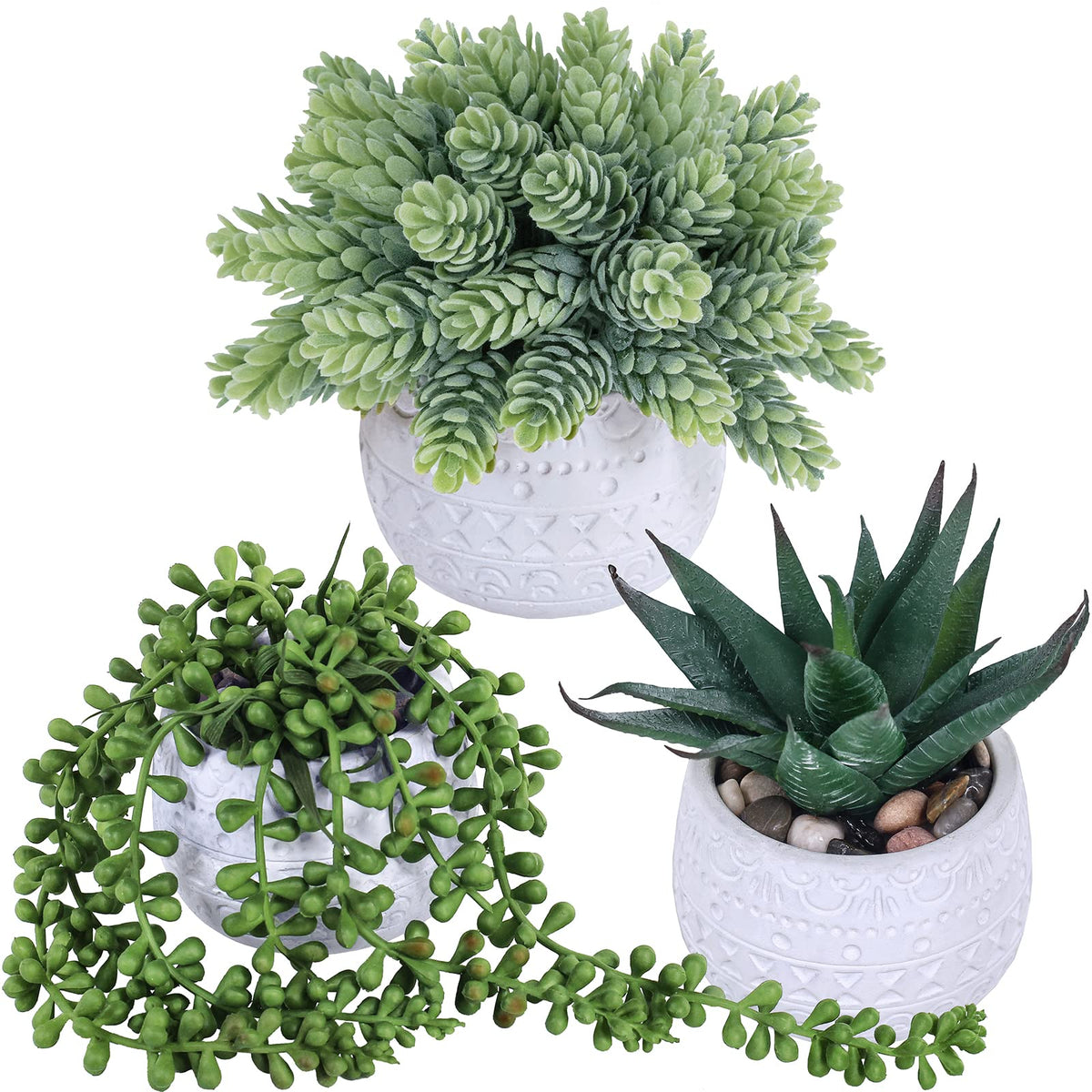 Winlyn string of pearls succulent in a pot enhances trailing decor and space efficiency
