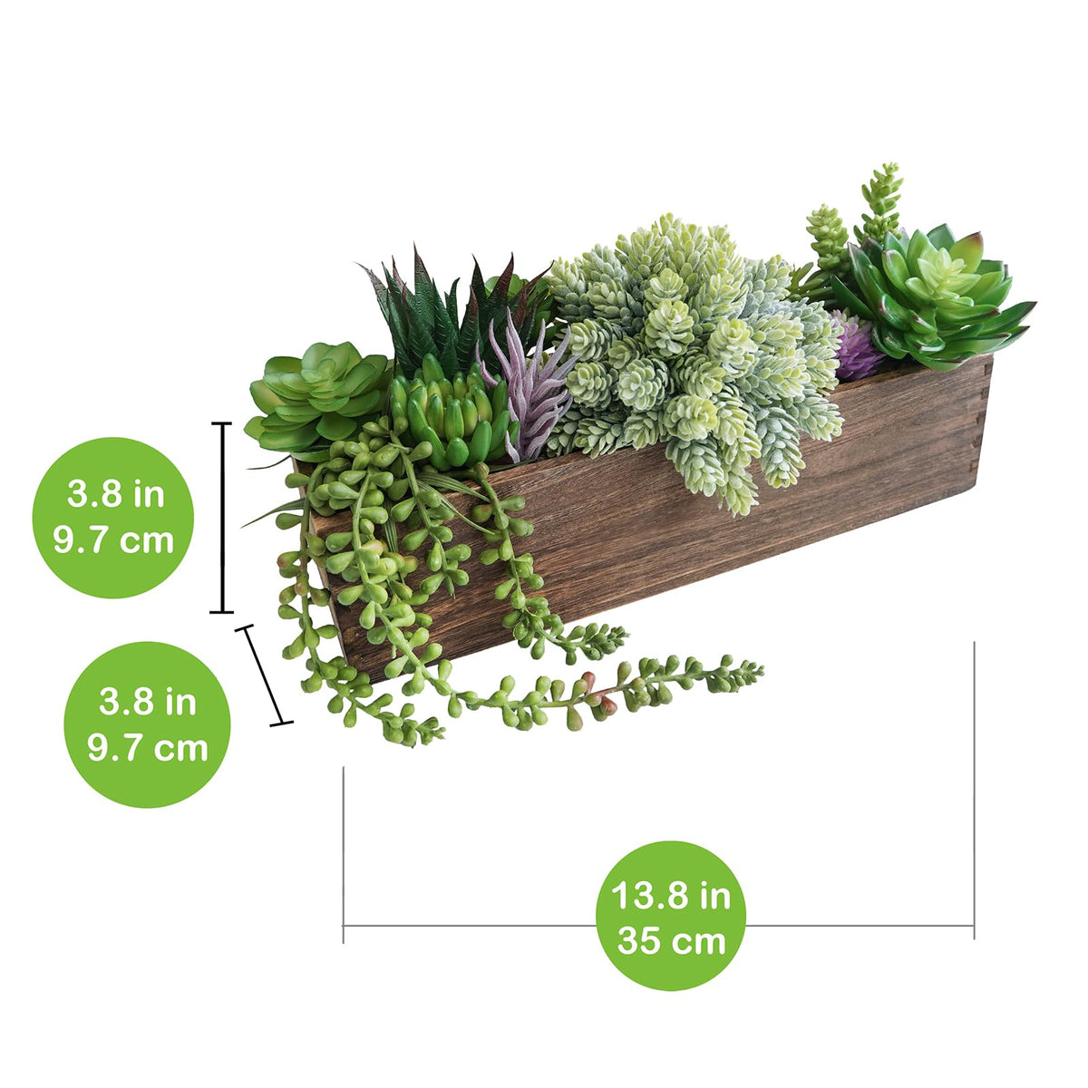 Winlyn succulent arrangement in rectangle planter viewed from above highlighting varied greens and purples for vibrant decor.