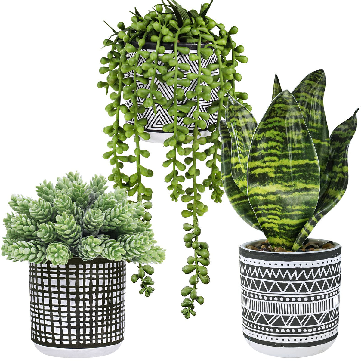 Winlyn faux succulents hanging in black pots enhance window displays.