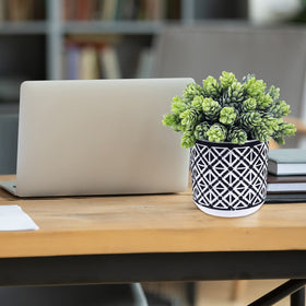 Winlyn succulents as table centerpiece offer effortless elegance