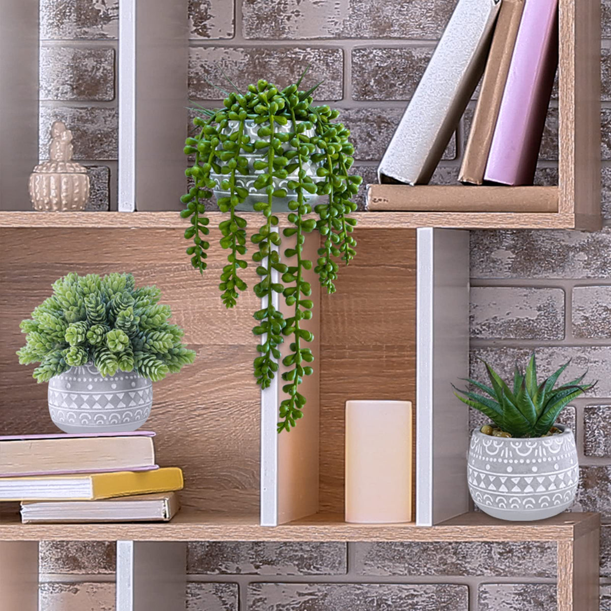 Winlyn close-up of textured gray geometric pot and green leaves