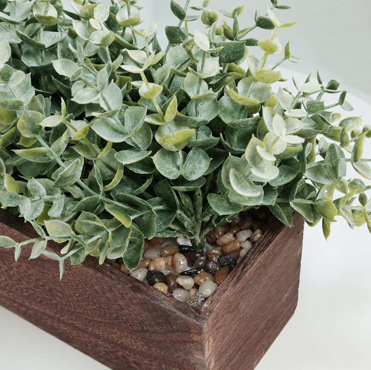 Winlyn two-tone green eucalyptus foliage adds natural color to any room.