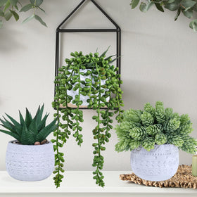 Winlyn wedding centerpiece idea uses small succulents for elegant decor