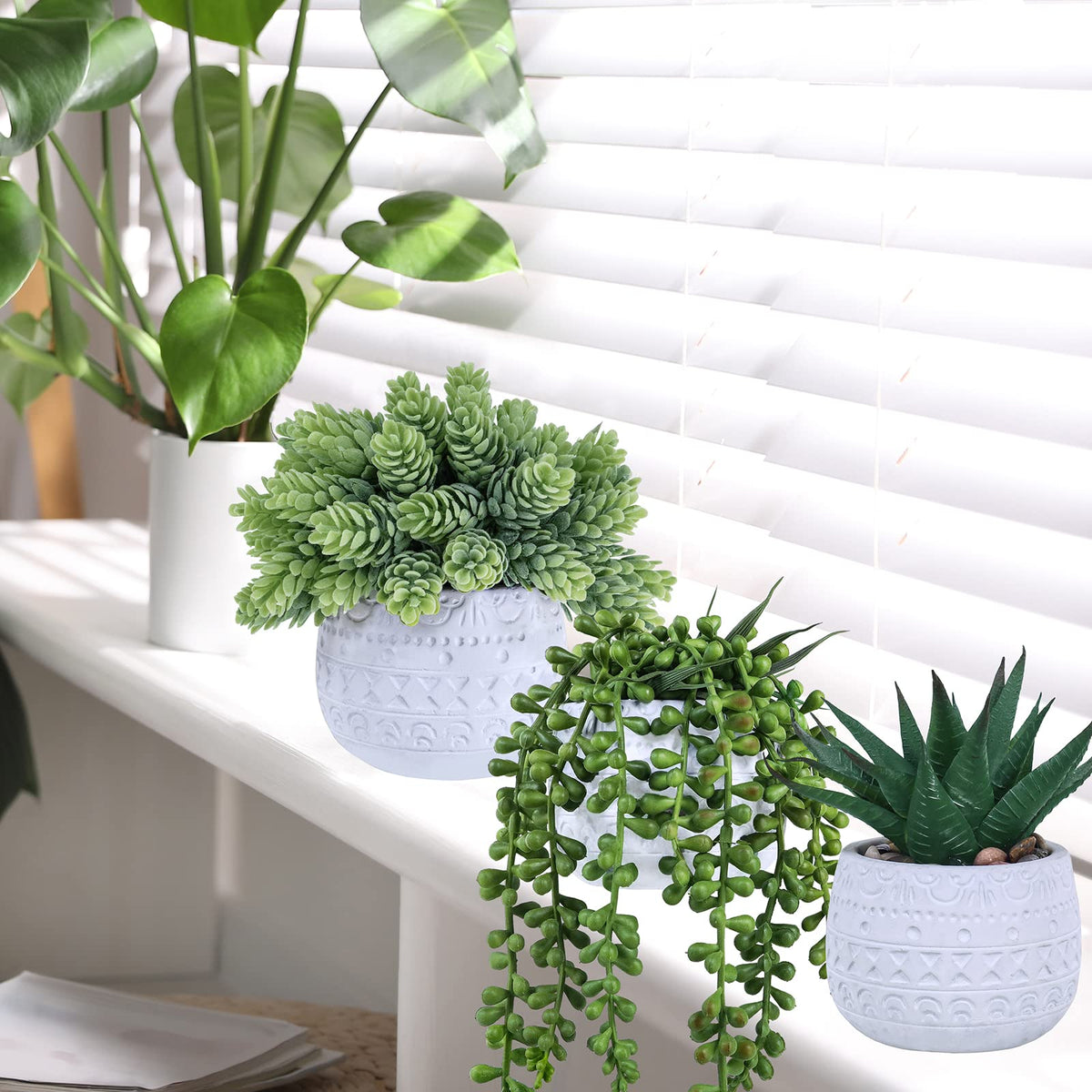 Winlyn white concrete pot closeup showing geometric design and modern appeal