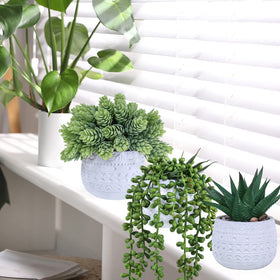 Winlyn white concrete pot closeup showing geometric design and modern appeal