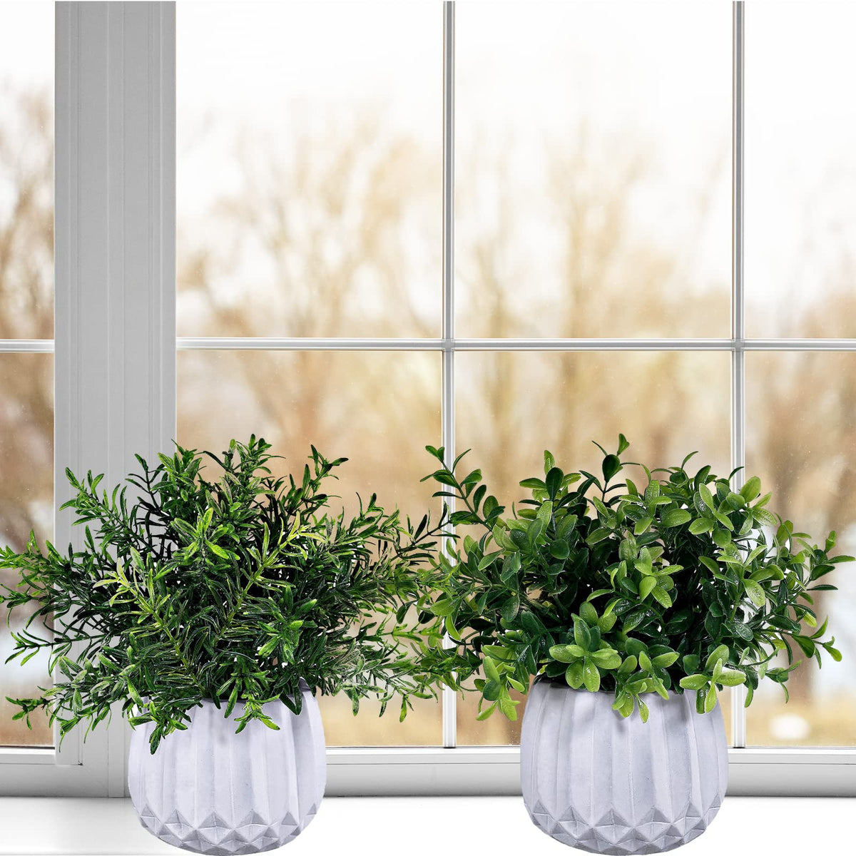 Winlyn white geometric pot closeup showcases modern, maintenance-free greenery