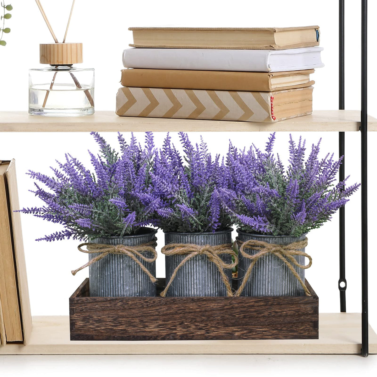 Winlyn windowsill and shelf decor brightens small spaces with greenery.