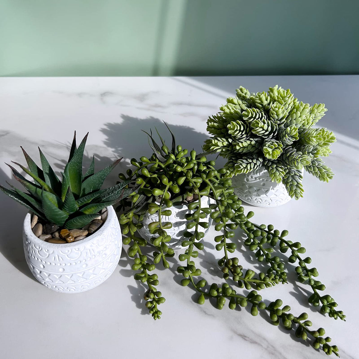 Winlyn windowsill display brings fresh greenery to tight spaces and light interiors
