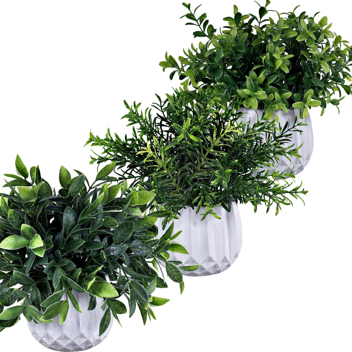 Winlyn windowsill greenery ensemble brightens small spaces with natural vibes