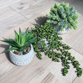 Winlyn window sill placement showing versatile indoor or outdoor use
