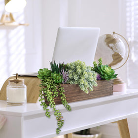 Winlyn low-maintenance faux plants suitable for low-light spaces.