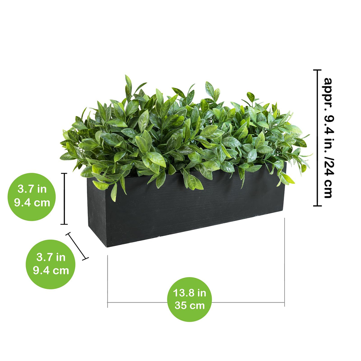 Front view of the Winlyn boxwood centerpiece in a rectangular wooden planter.