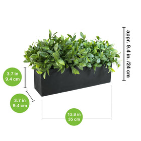 Front view of the Winlyn boxwood centerpiece in a rectangular wooden planter.