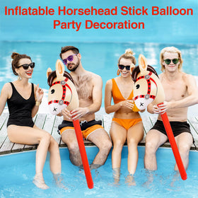 Wizzosivoor kids enjoy creative play with inflatable stick horse