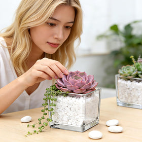 Woaiwo-q makeup brush storage inside a clear cube for organized vanity