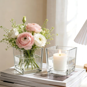 Woaiwo-q square vase terrarium with succulents for a stylish display