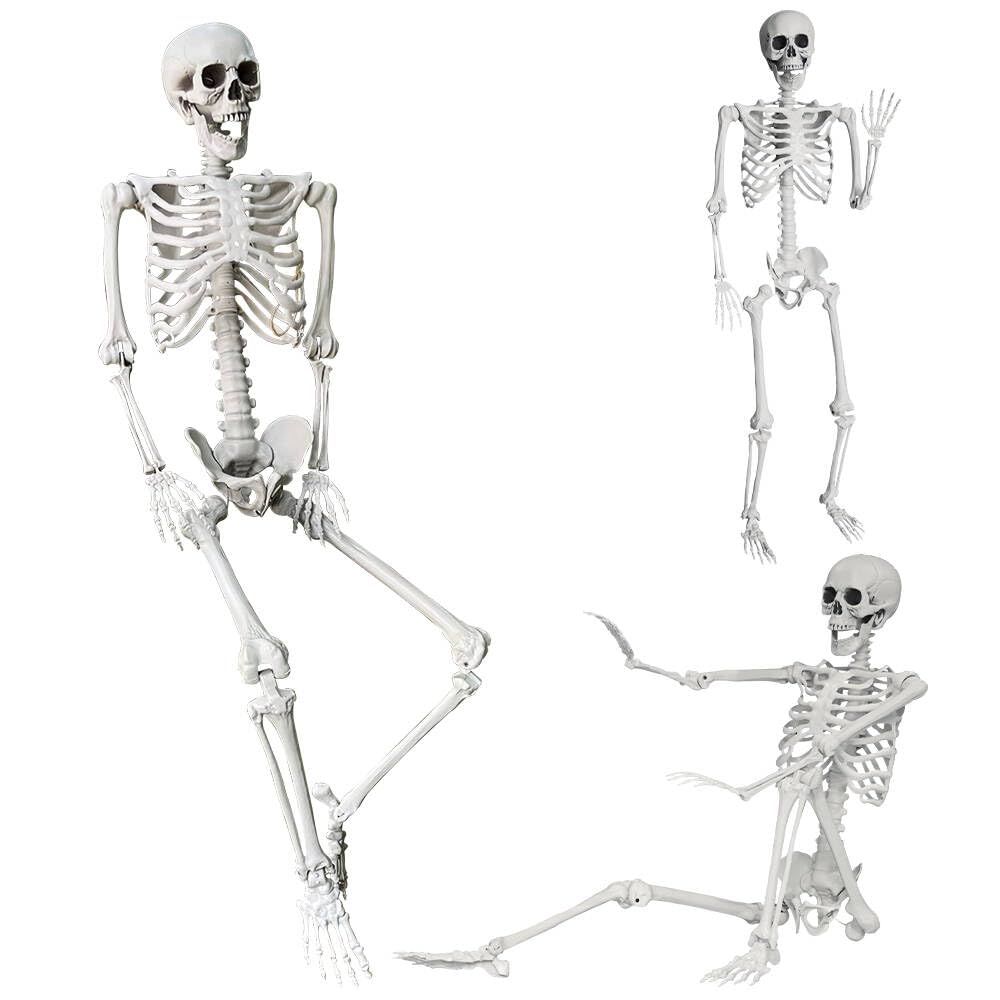 Wocst 5.4ft full-body skeleton with movable joints for versatile Halloween displays.